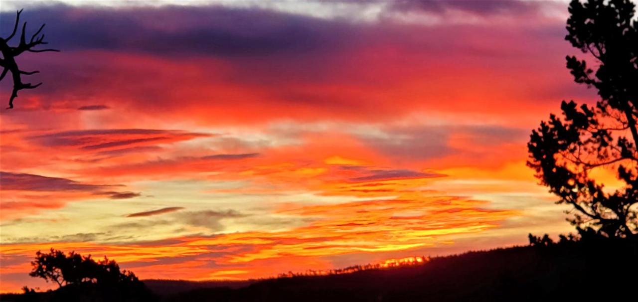 High Sierra Condominiums ルイドソ エクステリア 写真