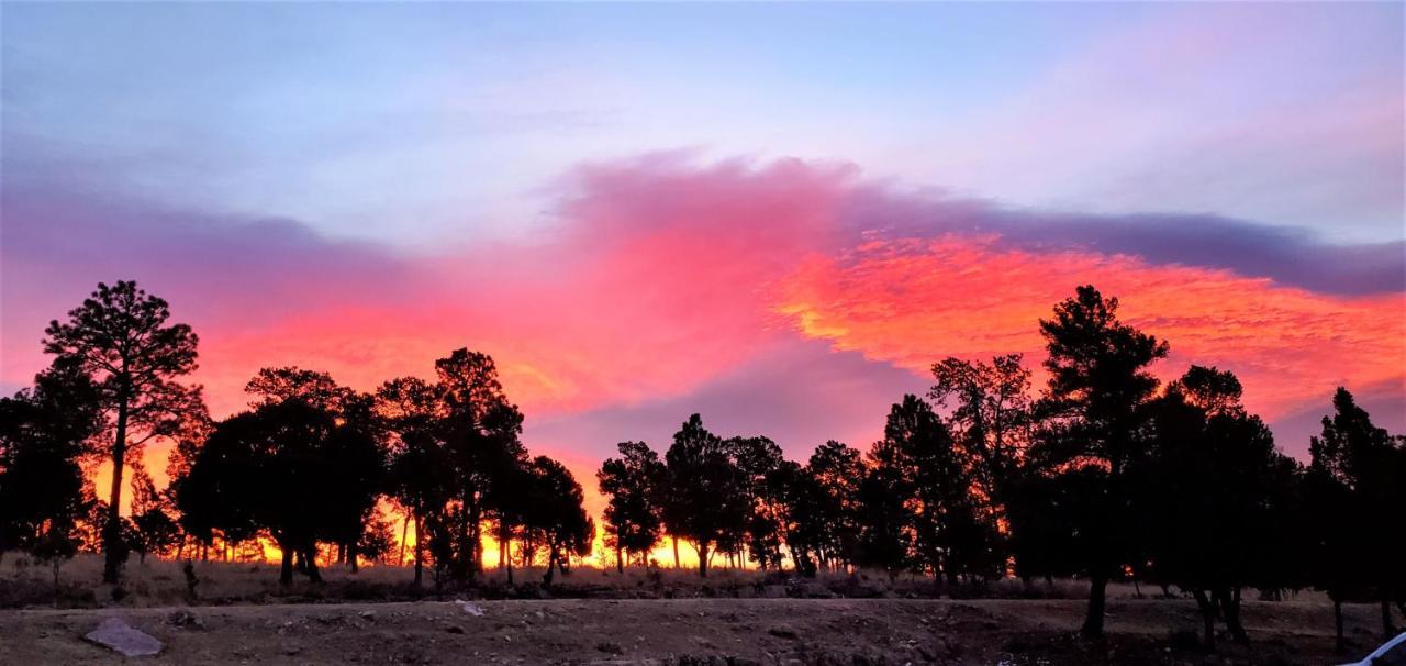 High Sierra Condominiums ルイドソ エクステリア 写真
